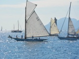 Tn CANNES ANTIBES 094